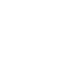 Polyloop Logo